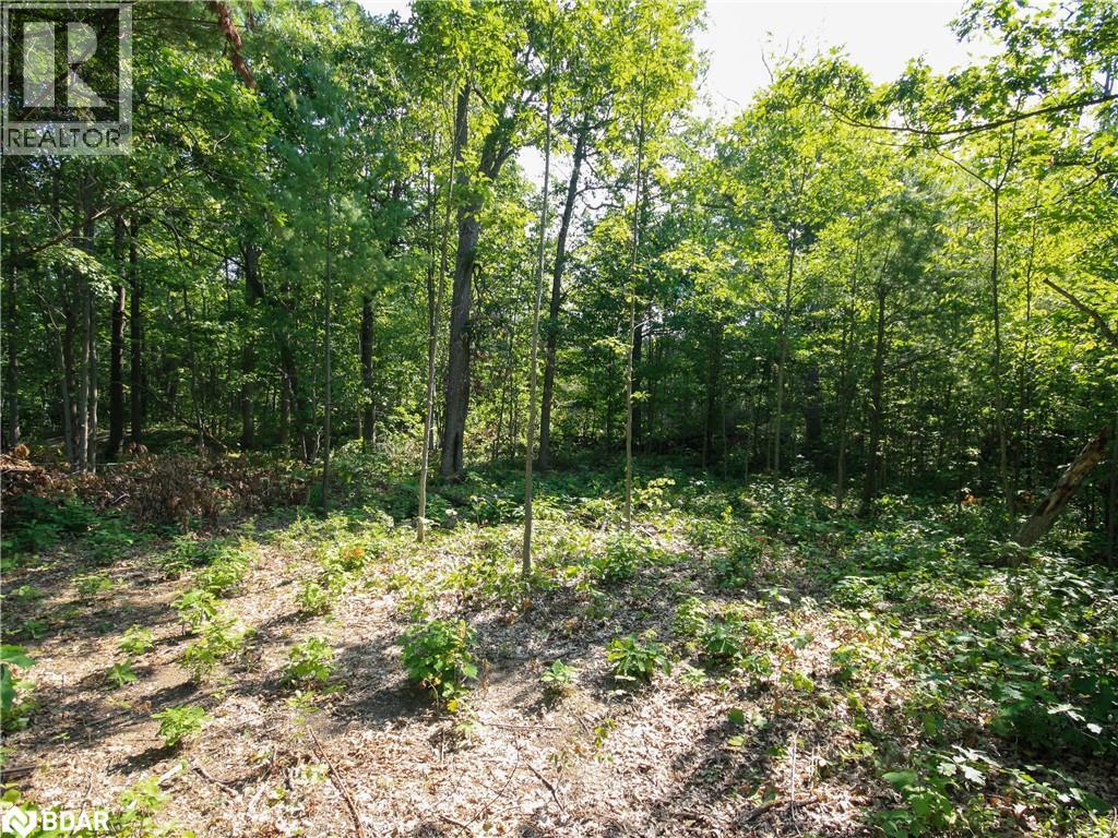 Photo 4 of 30 Birch Acres Drive, Port Severn ON