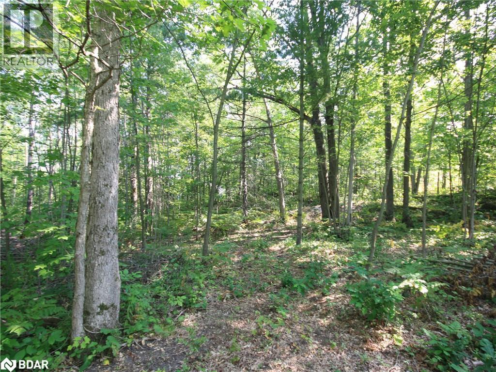 Photo 27 of 30 Birch Acres Drive, Port Severn ON
