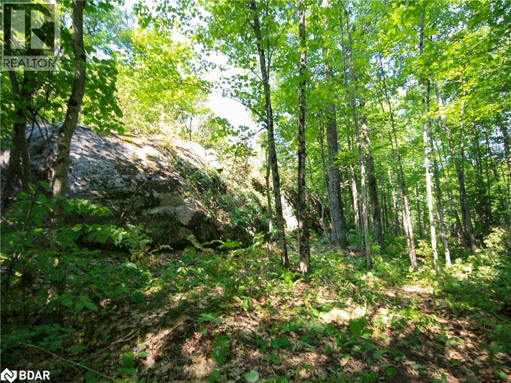 Photo 6 of 30 Birch Acres Drive, Port Severn ON