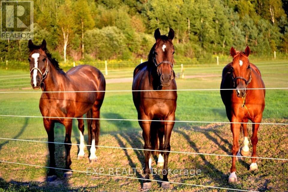 Photo 32 of 21152 Kennedy Road, East Gwillimbury ON