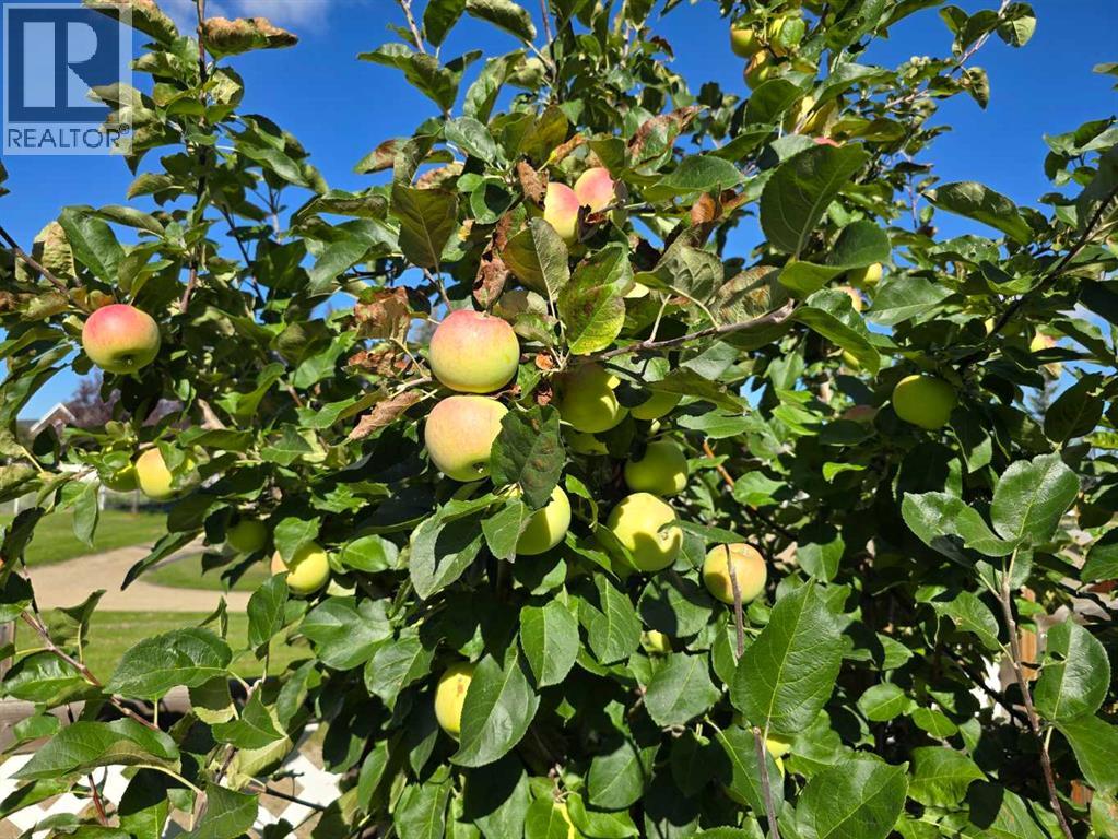 Photo 9 of 7128 Henners Road, Lacombe AB