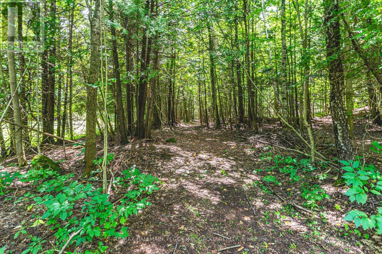 Photo 22 of 8275 County Rd 9, Clearview ON