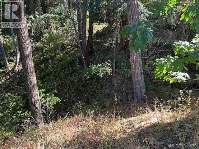 Photo 6 of 1376 Algonkin Rd, Duncan BC