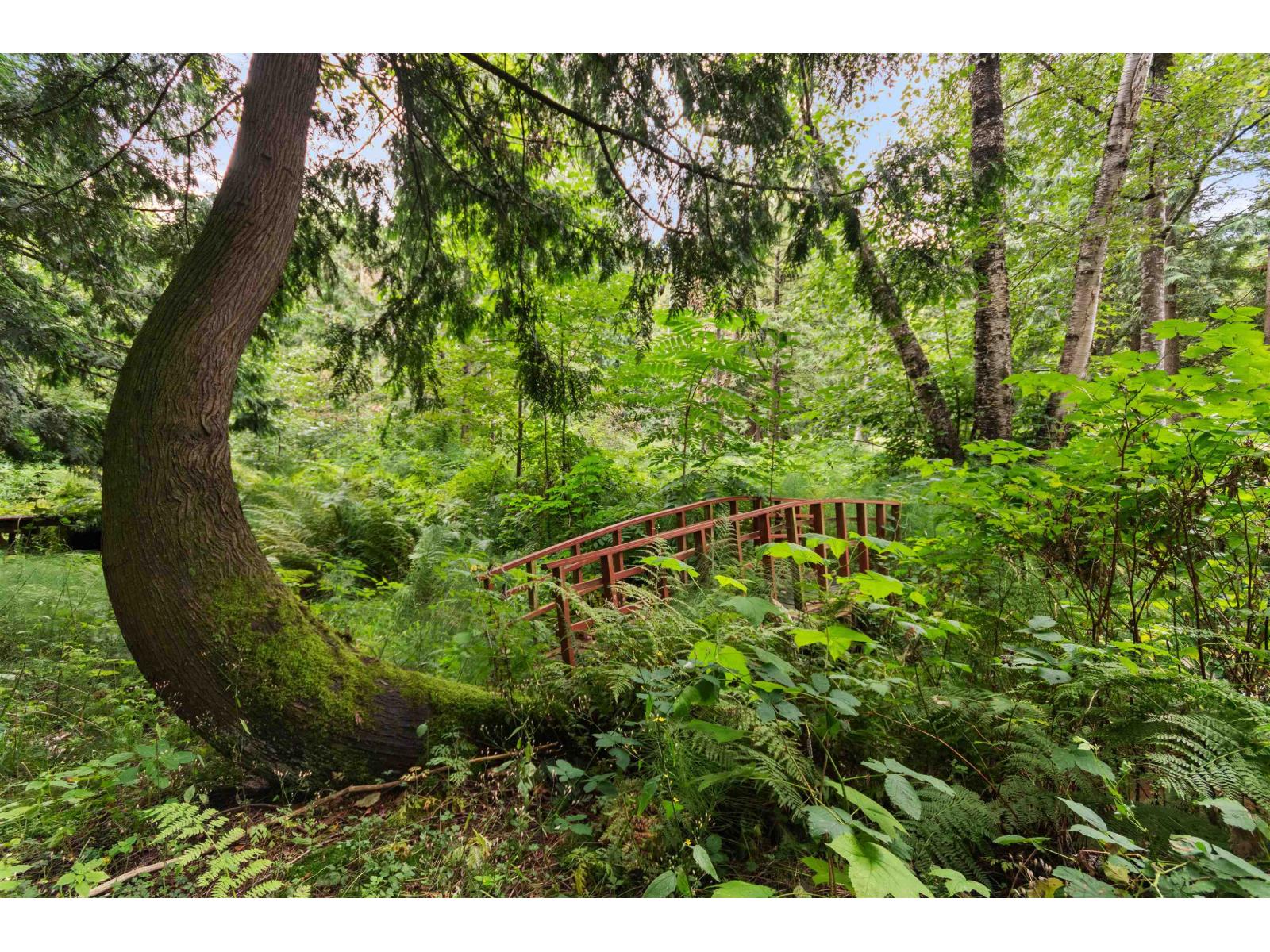 Photo 27 of 41780 Majuba Hill Road Majuba Hill, Yarrow BC