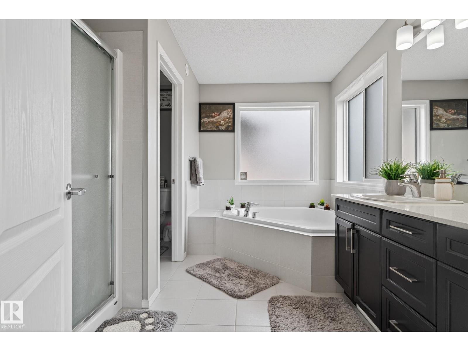 Photo 42 of 1643 14 St Nw, Edmonton AB