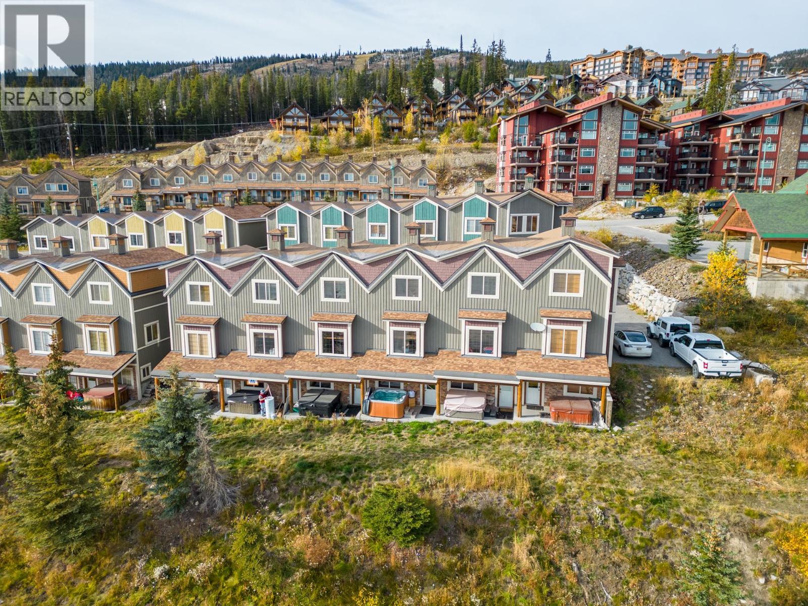 16 5015 Snowbird Way, Big White