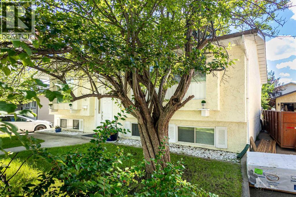 Single Family House Bi-level for Sale in  Brookpark Drive SW Braeside Calgary 