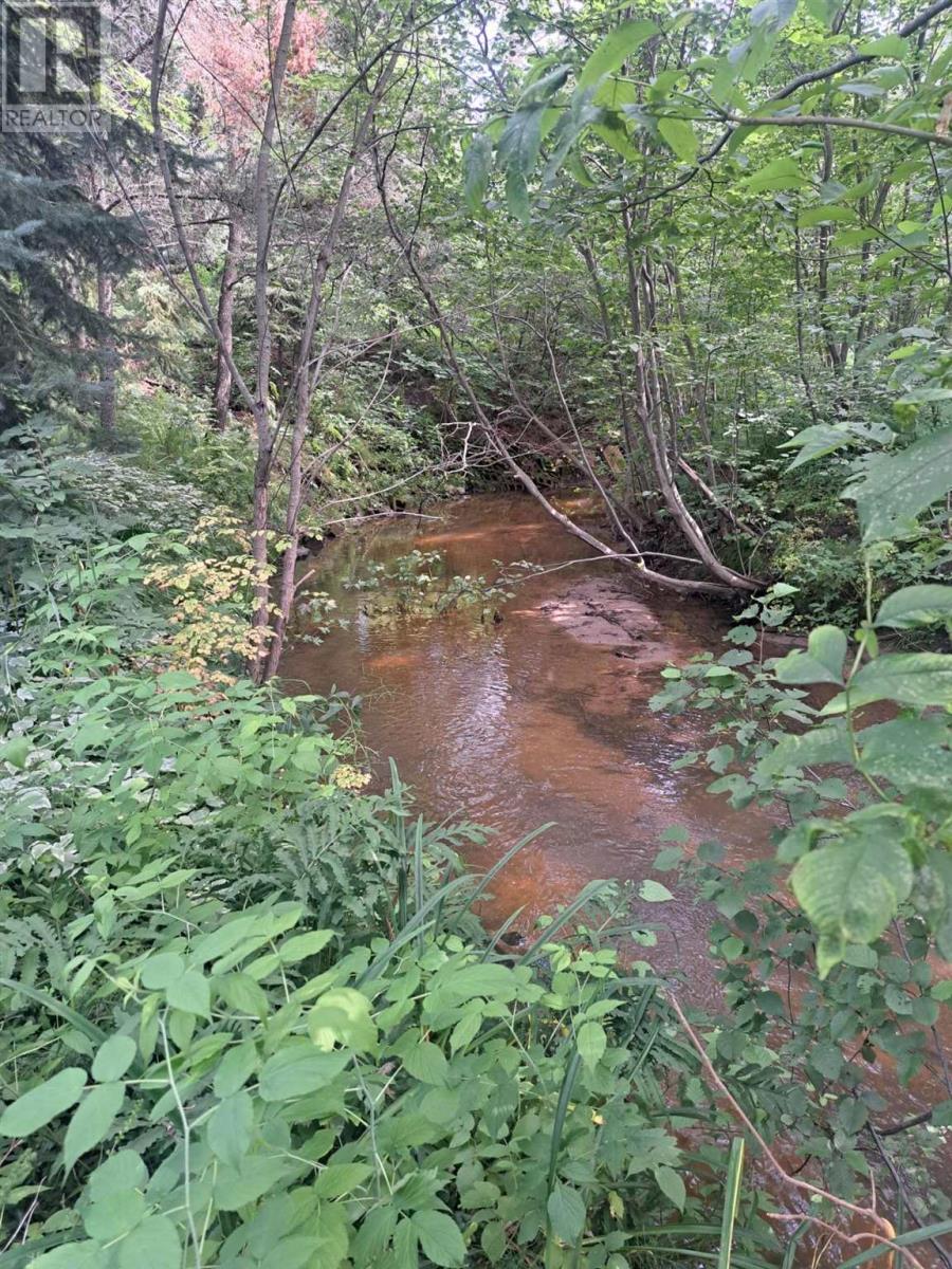 Photo 26 of 1115 Second Lin W, Sault Ste Marie ON