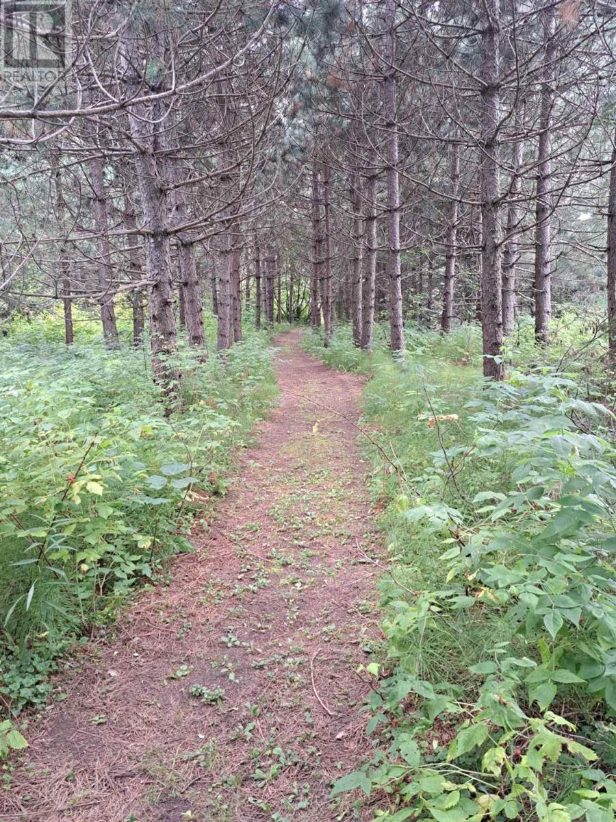 Photo 39 of 1115 Second Lin W, Sault Ste Marie ON