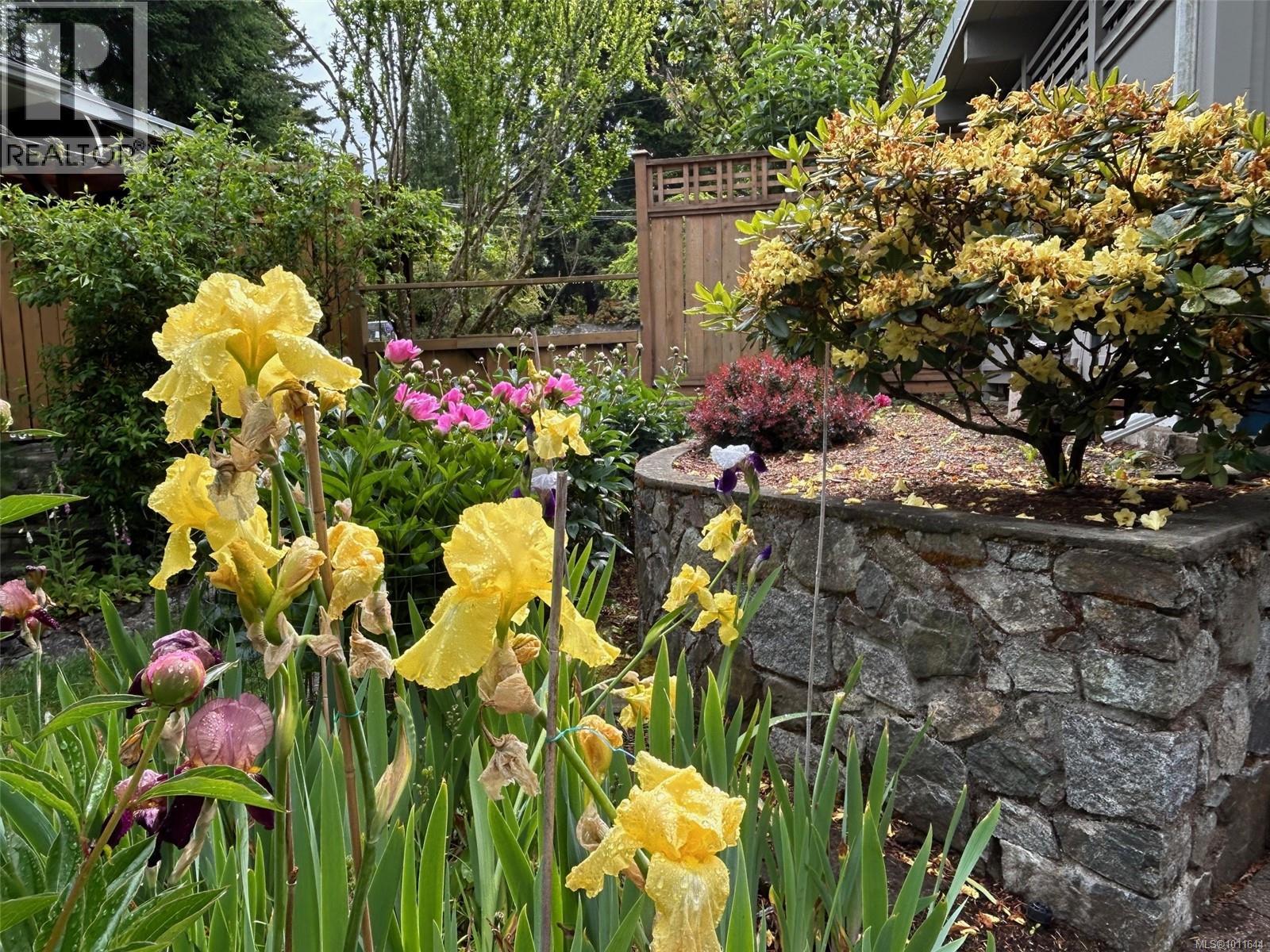  4516 Duart Road, Saanich