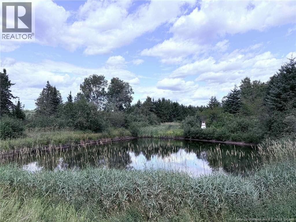 Photo 8 of 11051 Rte 430 Hwy, Trout Brook NB