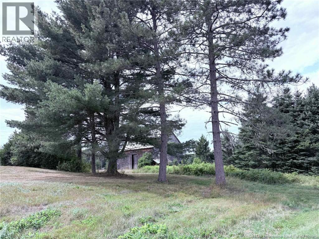 Photo 5 of 11051 Rte 430 Hwy, Trout Brook NB