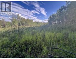 Lot 7 253 Road, Fort St  John, BC V0C1C2 Photo 12