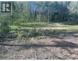 Lot 7 253 Road, Fort St  John, BC V0C1C2 Photo 8