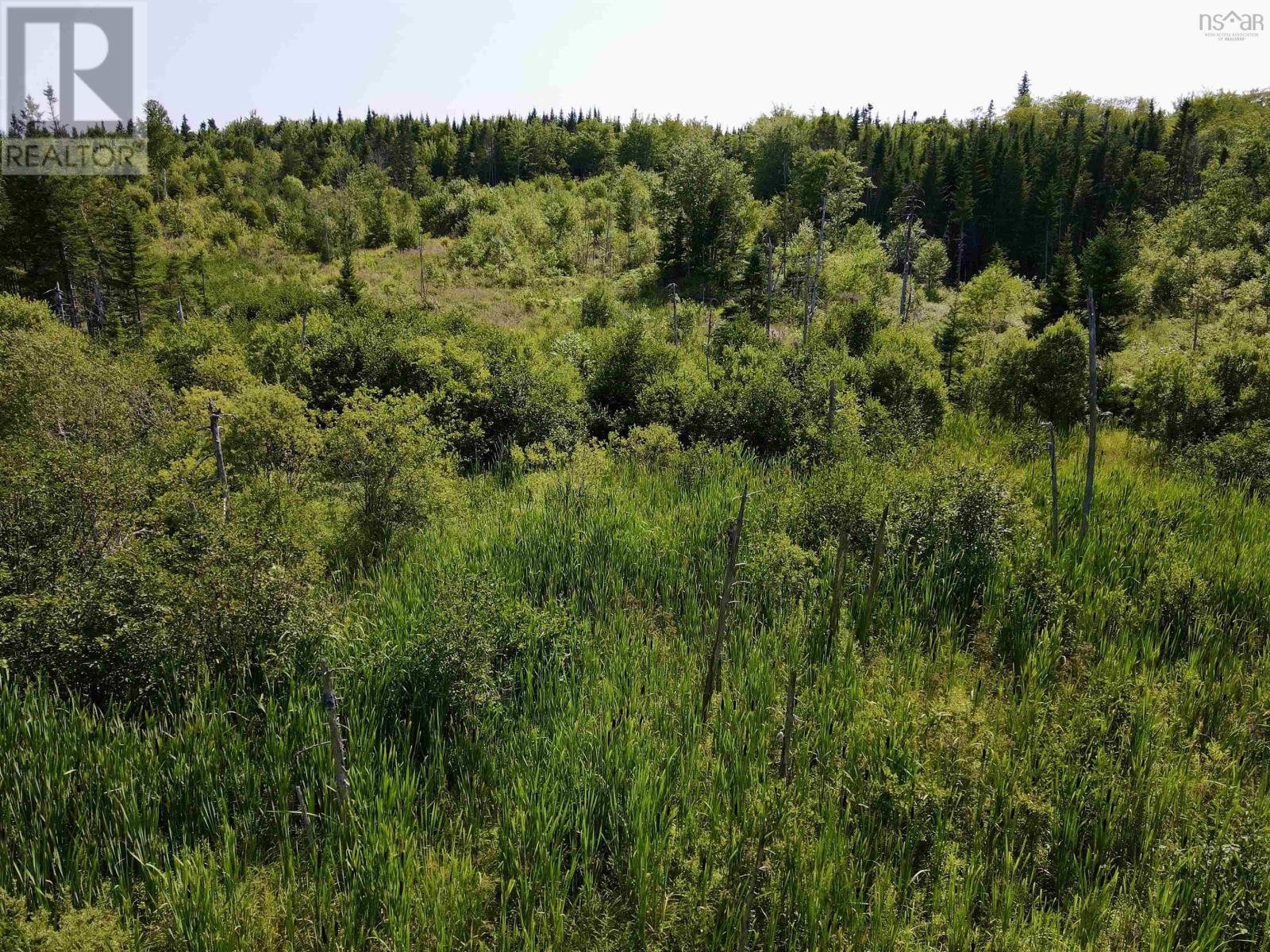 Property 10 of 11 of 1349 West Side Middle River Road