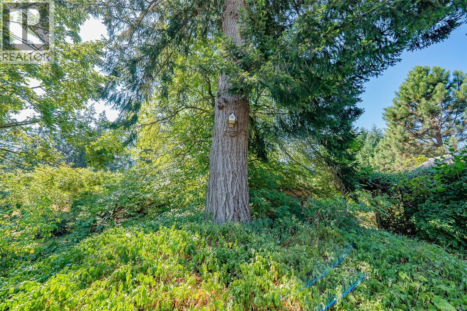 Photo 69 of 5030 Limberis Dr, Ladysmith BC