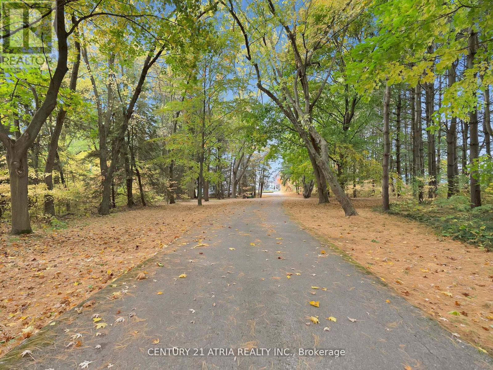 14210 7TH CONCESSION ROAD - 39