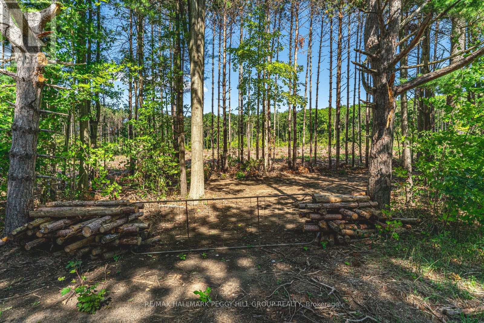 Photo 36 of 3891 9 Line N, Oromedonte ON