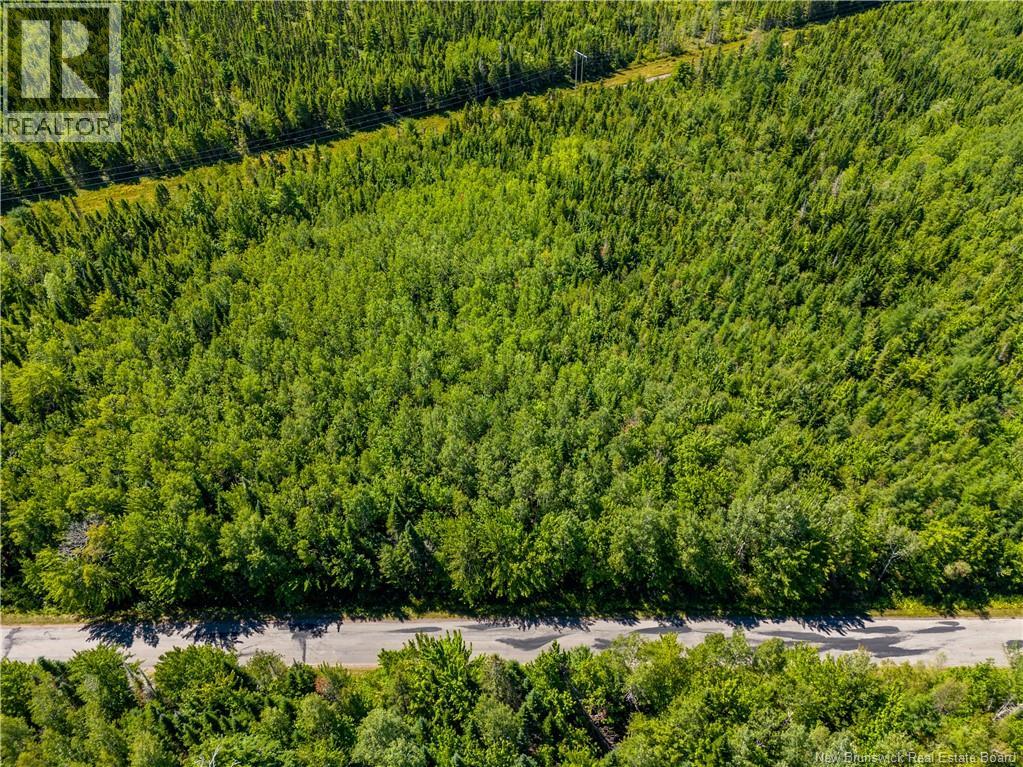 Photo 2 of Lot 25 5 California Road, Rexton NB