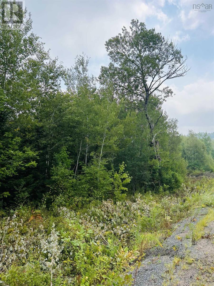 Property 10 of 15 of Lot Alpena Road