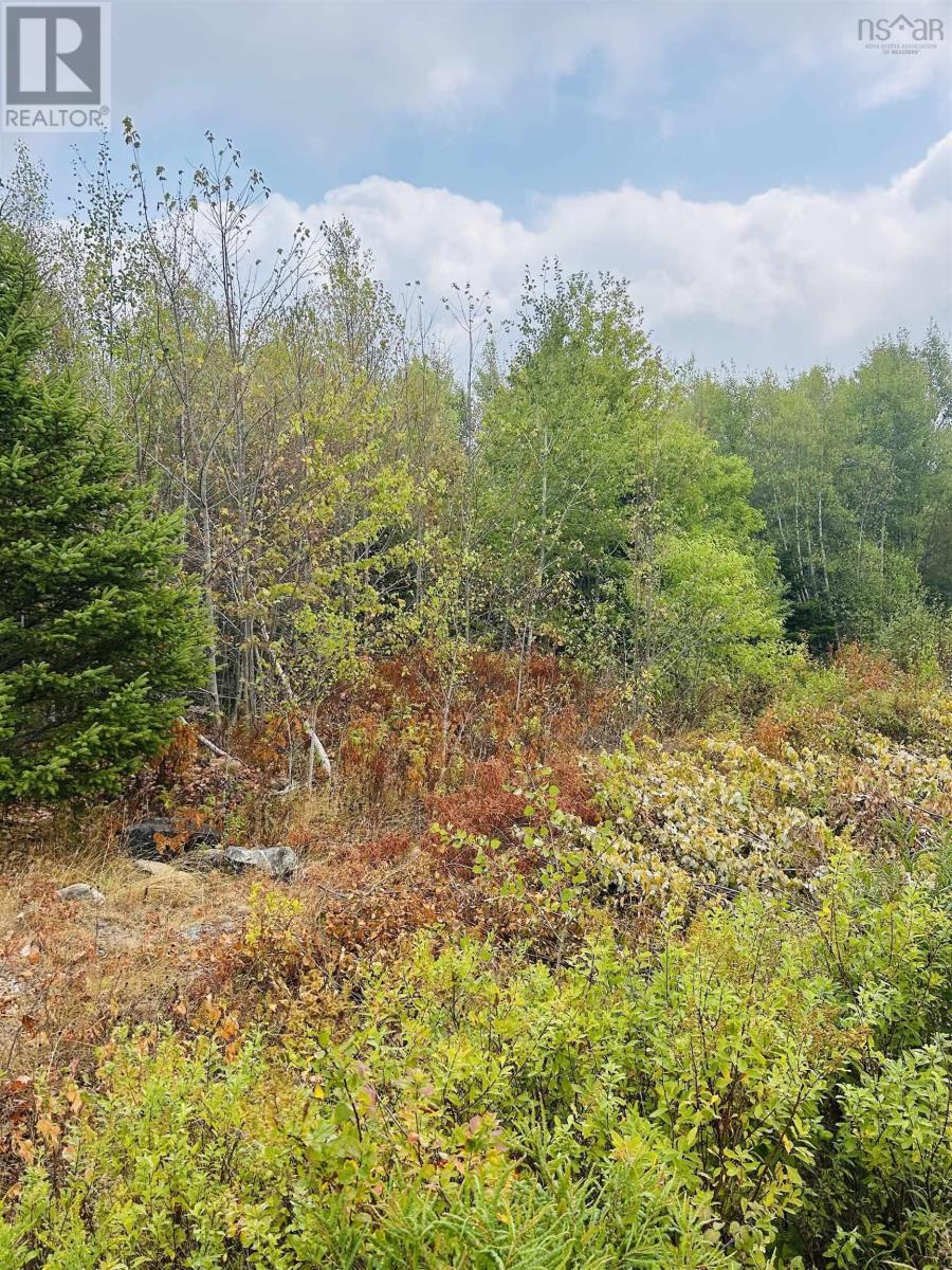 Property 11 of 15 of Lot Alpena Road