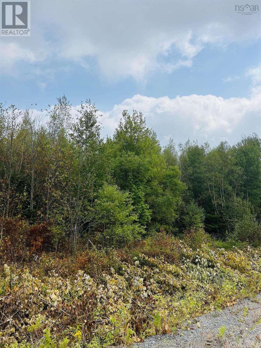 Property 12 of 15 of Lot Alpena Road