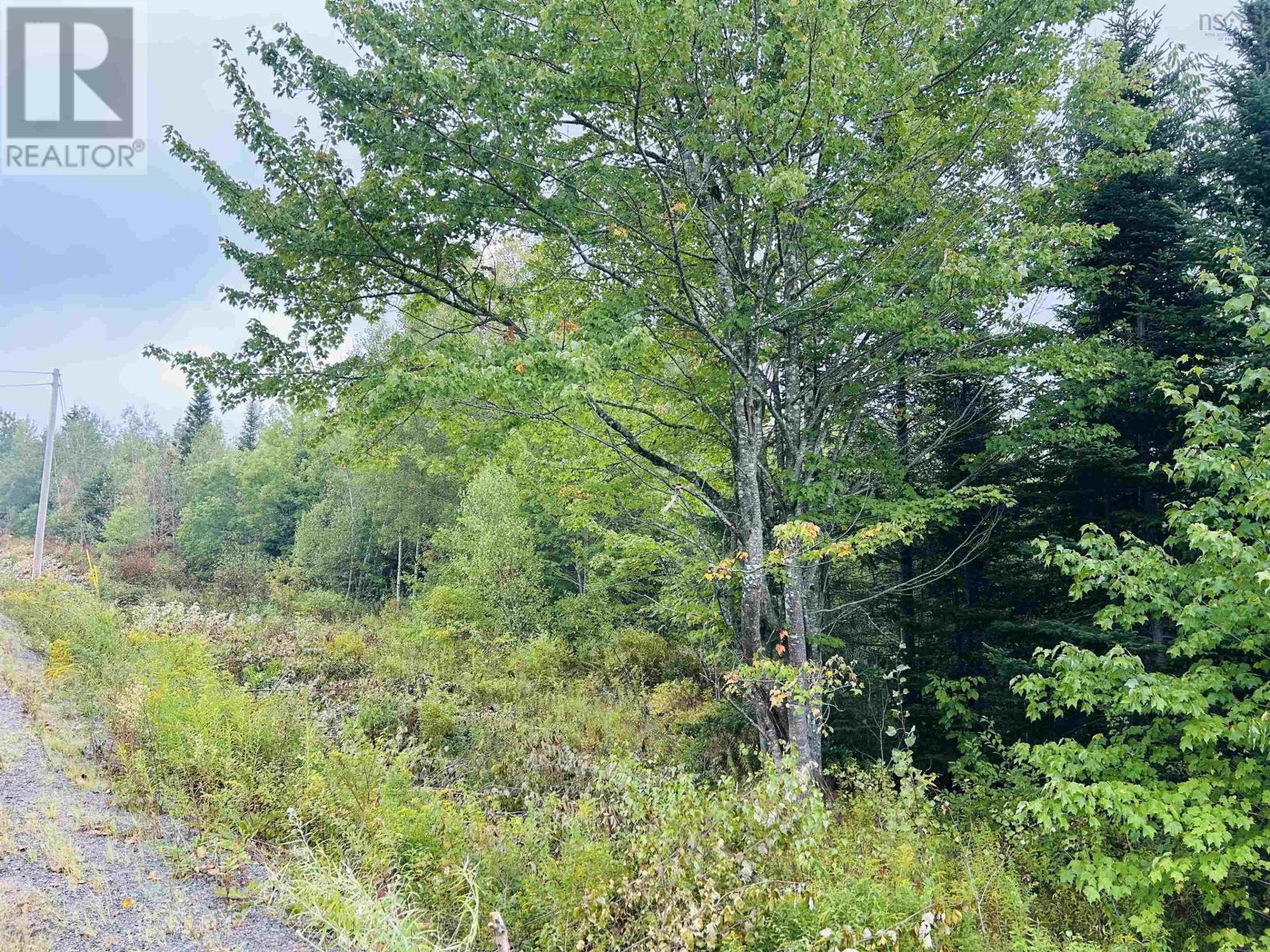 Property 4 of 15 of Lot Alpena Road