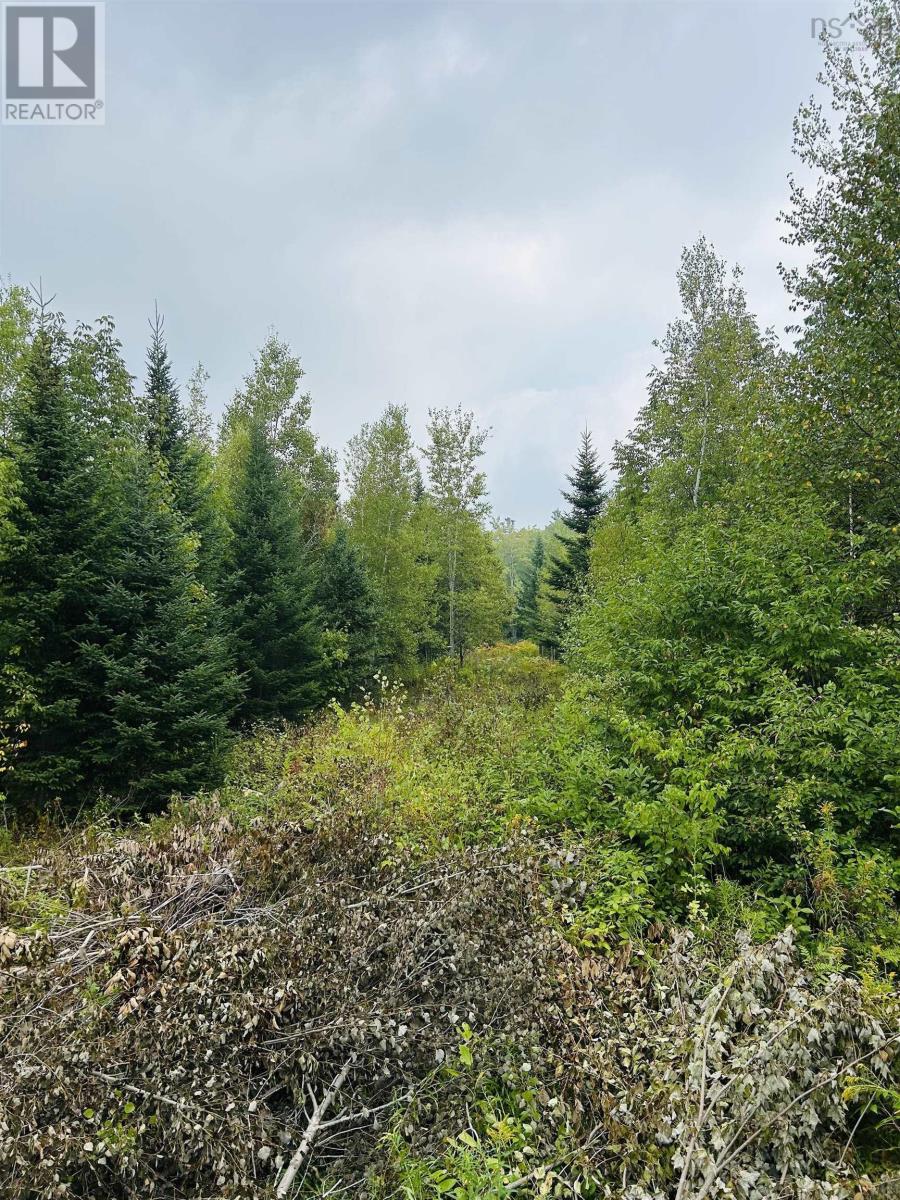 Property 5 of 15 of Lot Alpena Road