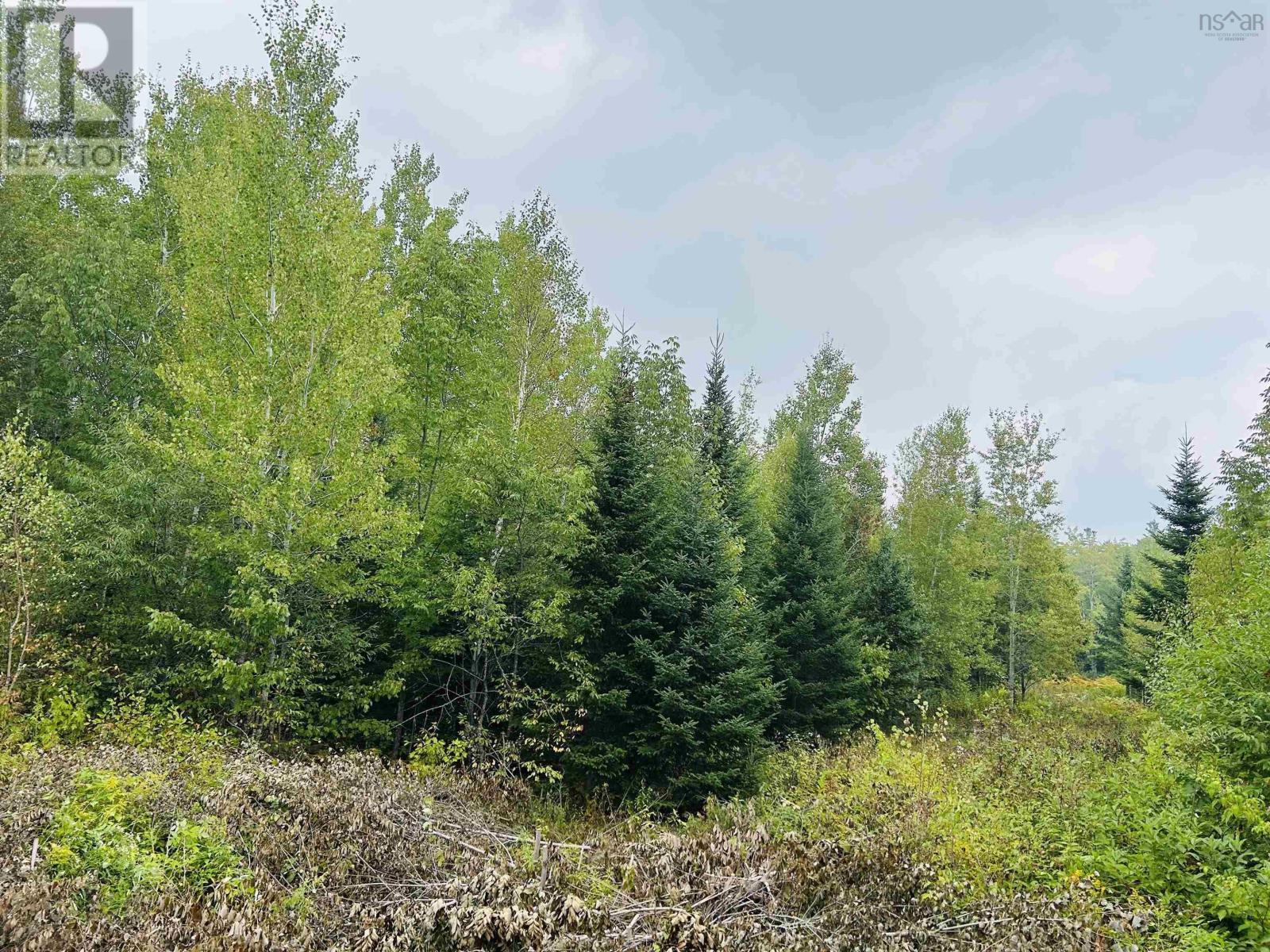 Property 7 of 15 of Lot Alpena Road