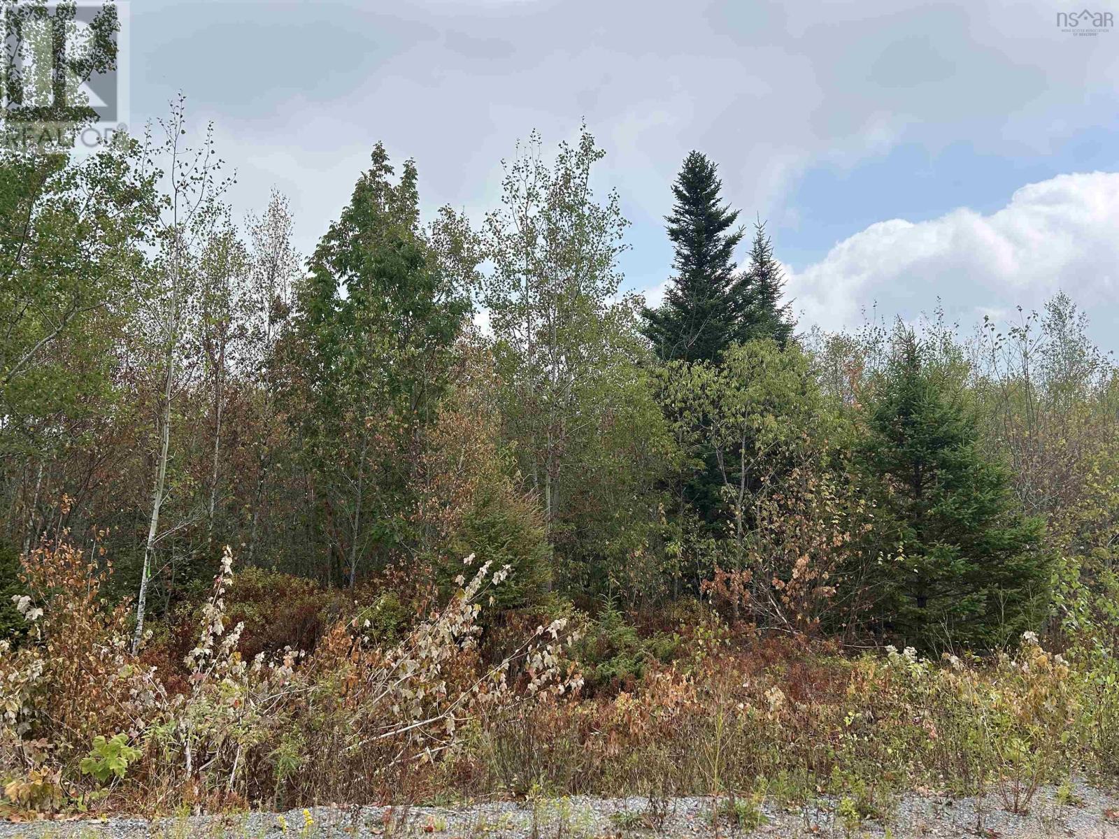 Property 8 of 15 of Lot Alpena Road