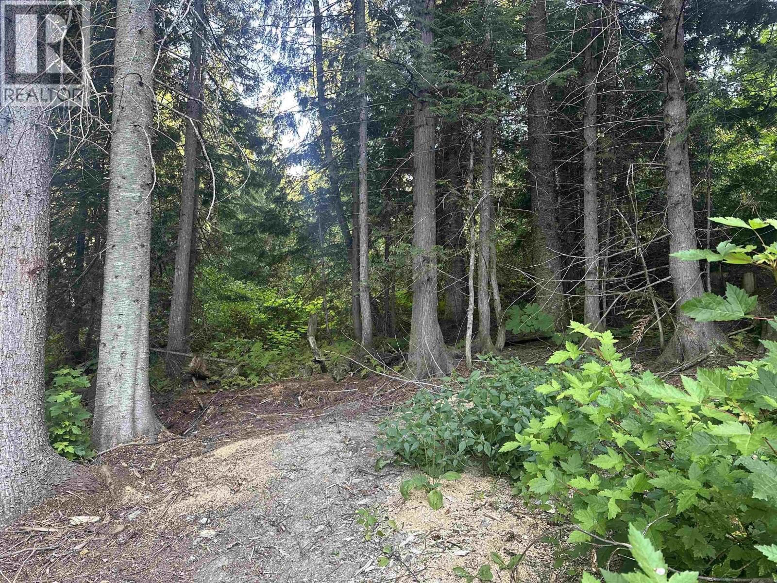 6390 KEITHLEY CREEK ROAD, Likely