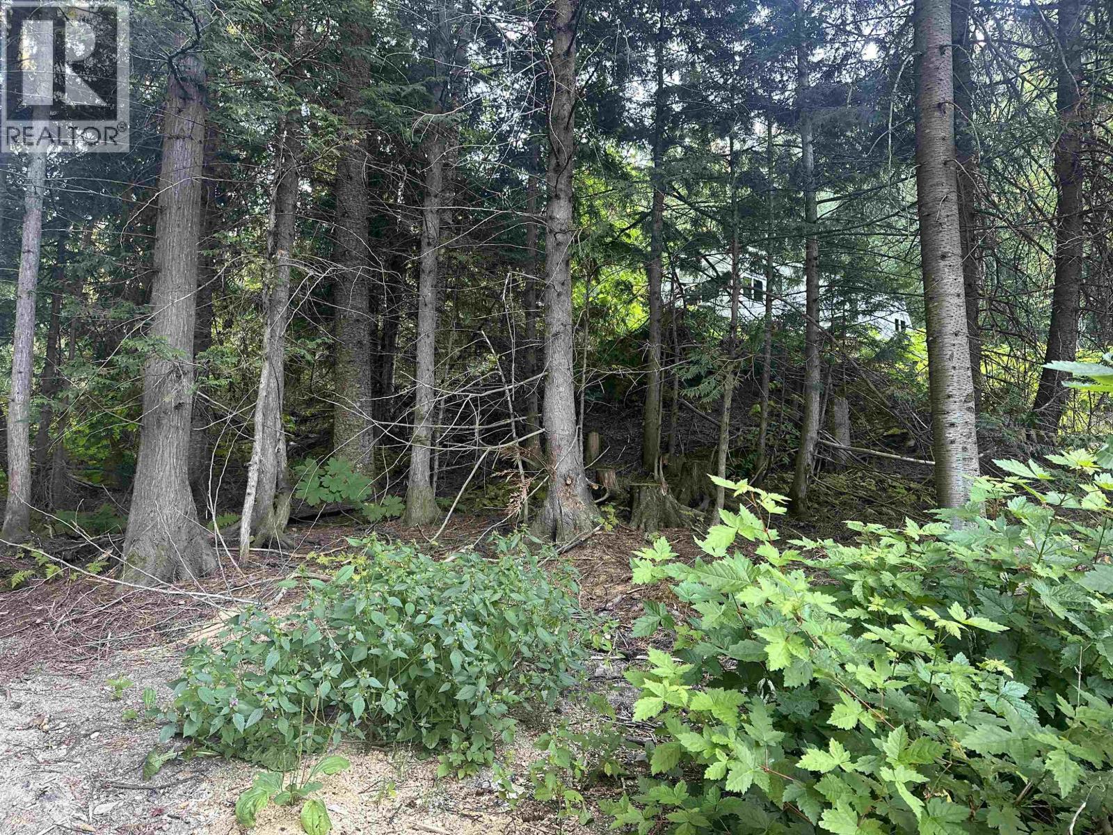 6390 KEITHLEY CREEK ROAD, Likely