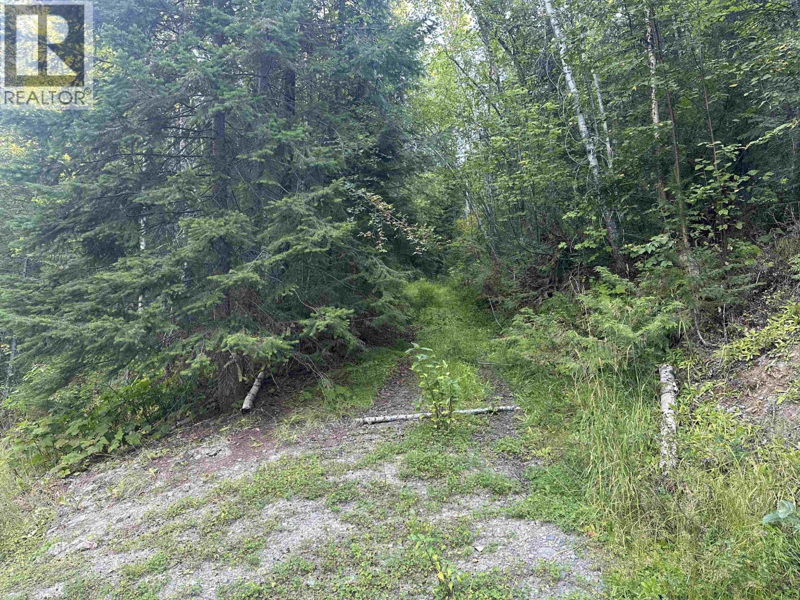 6390 KEITHLEY CREEK ROAD, Likely