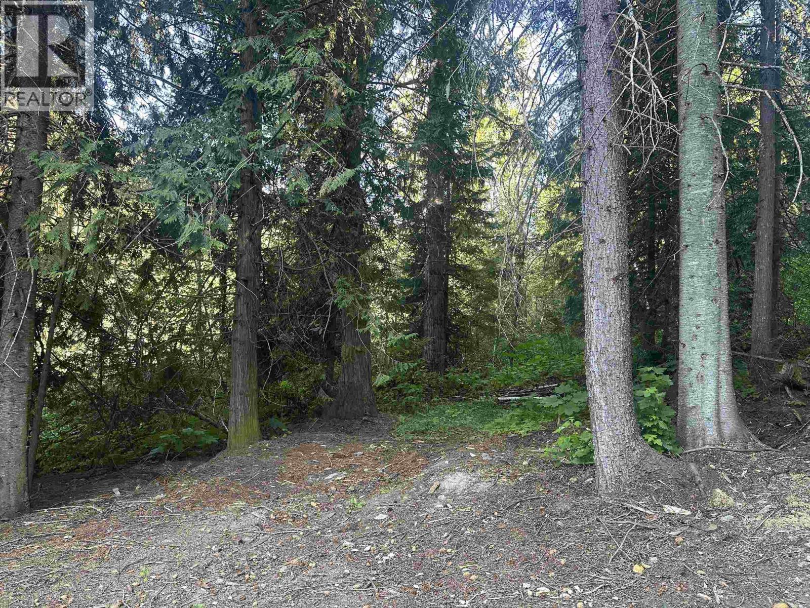 6390 KEITHLEY CREEK ROAD, Likely