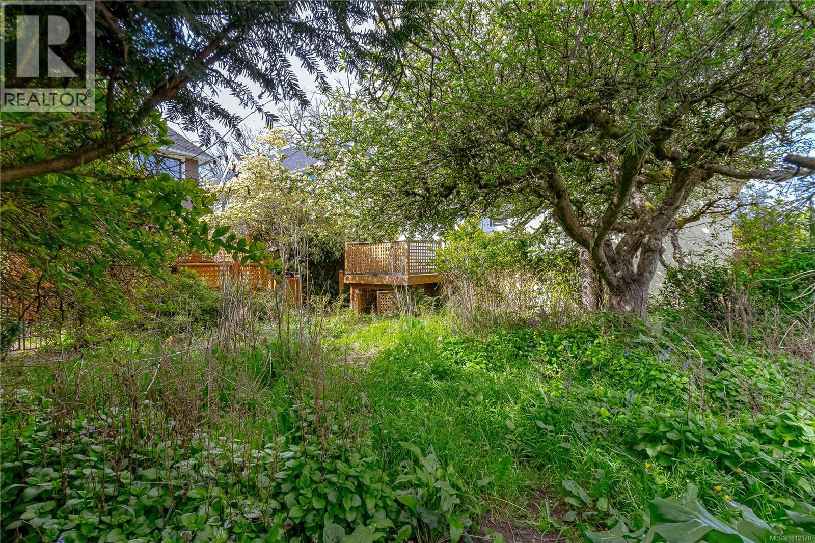  2719 Richmond Road, Saanich