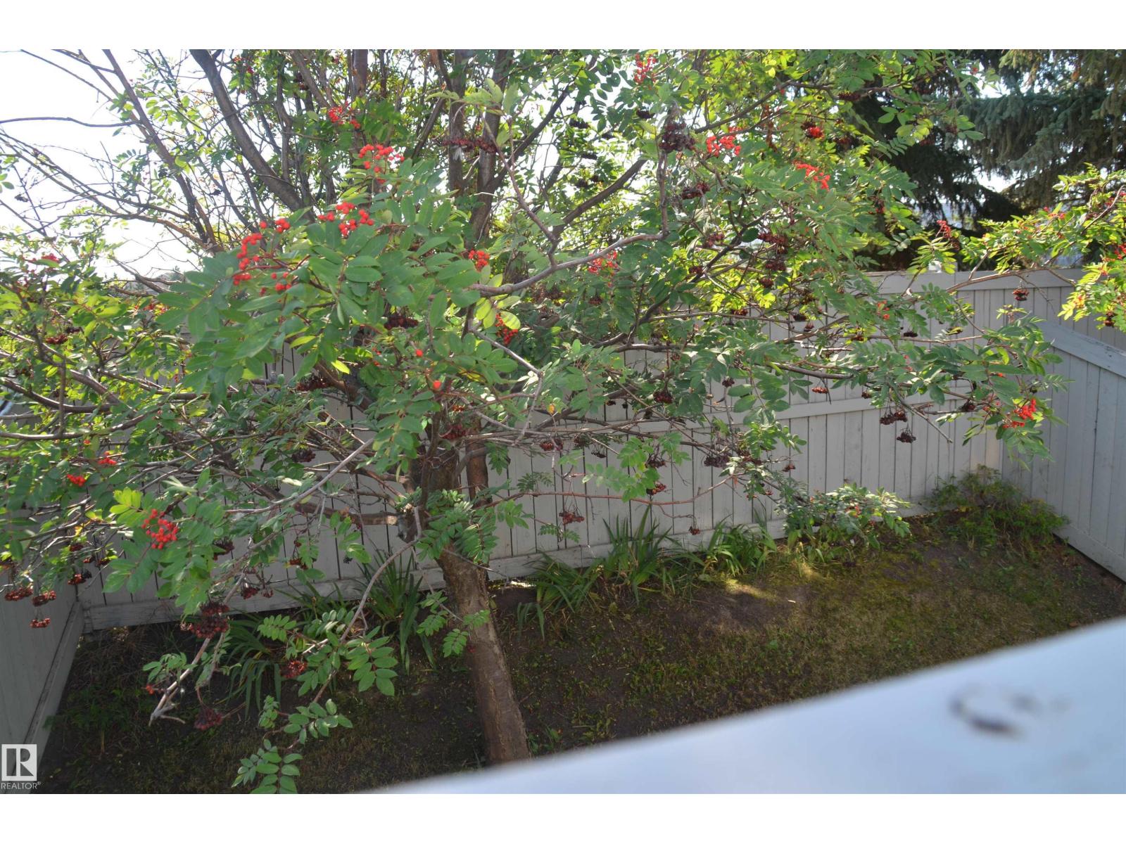 Photo 19 of 25 14603 Miller Bv Nw, Edmonton AB