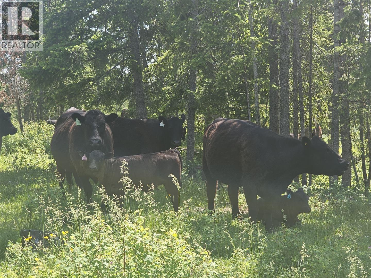 3489 DURRELL ROAD - 16