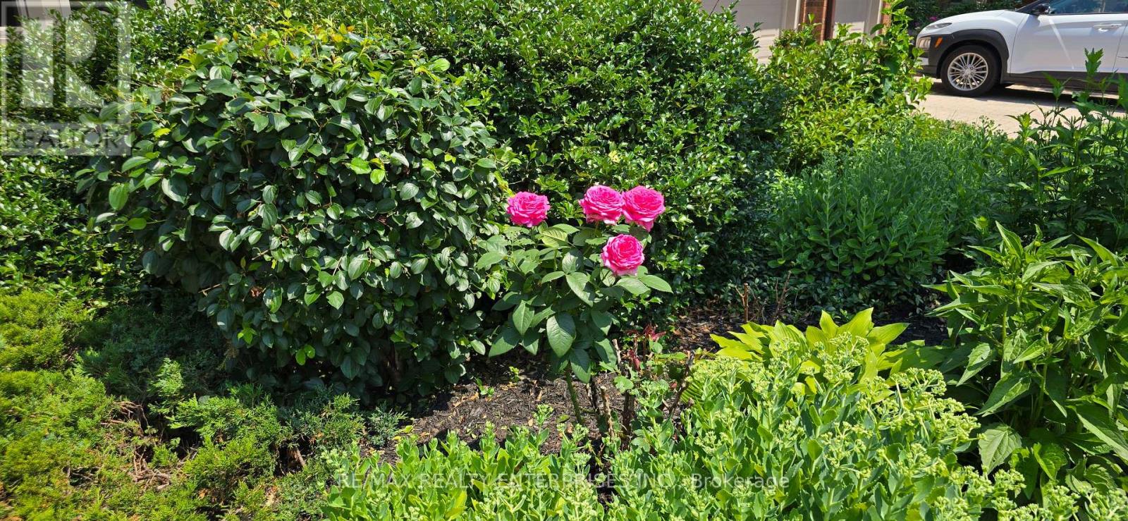 Photo 43 of 19 1180 Walden Circle, Mississauga ON