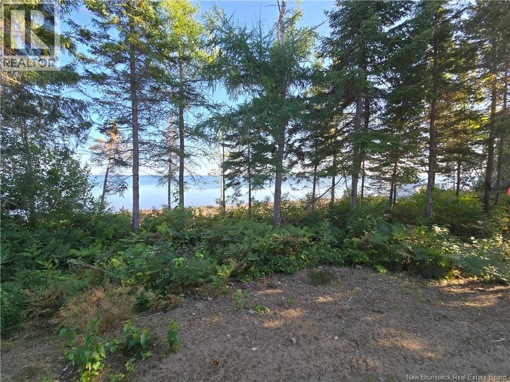 Photo 17 of 140 Grand Dune Shore Road, Barryville NB