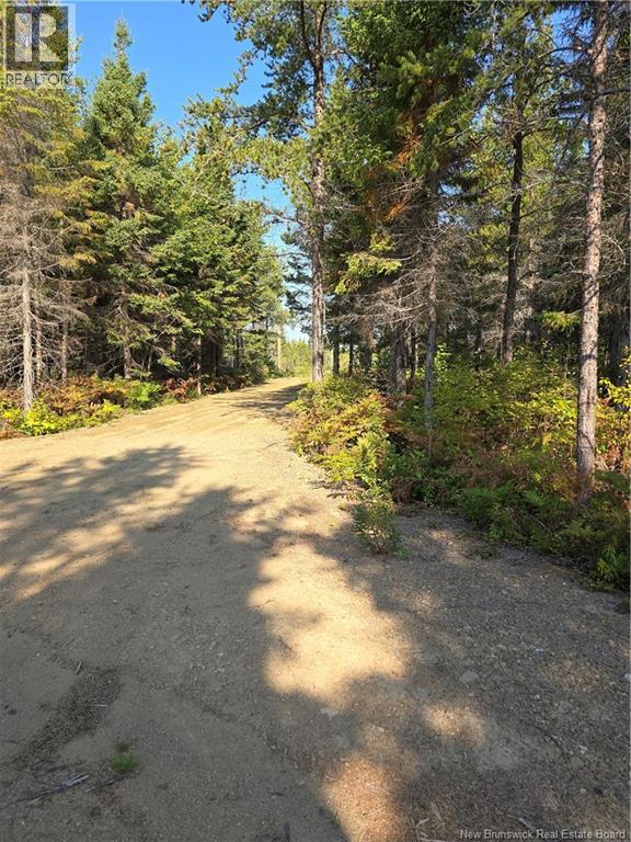 Photo 16 of 140 Grand Dune Shore Road, Barryville NB