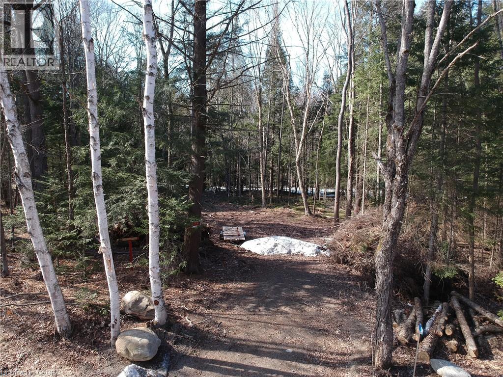 Photo 10 of 50 Concession 2 And 3 Road W, Huntsville ON