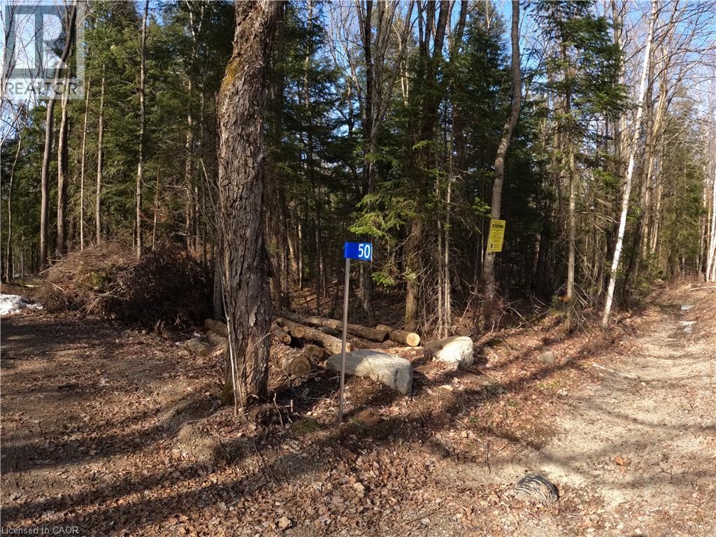 Photo 4 of 50 Concession 2 And 3 Road W, Huntsville ON