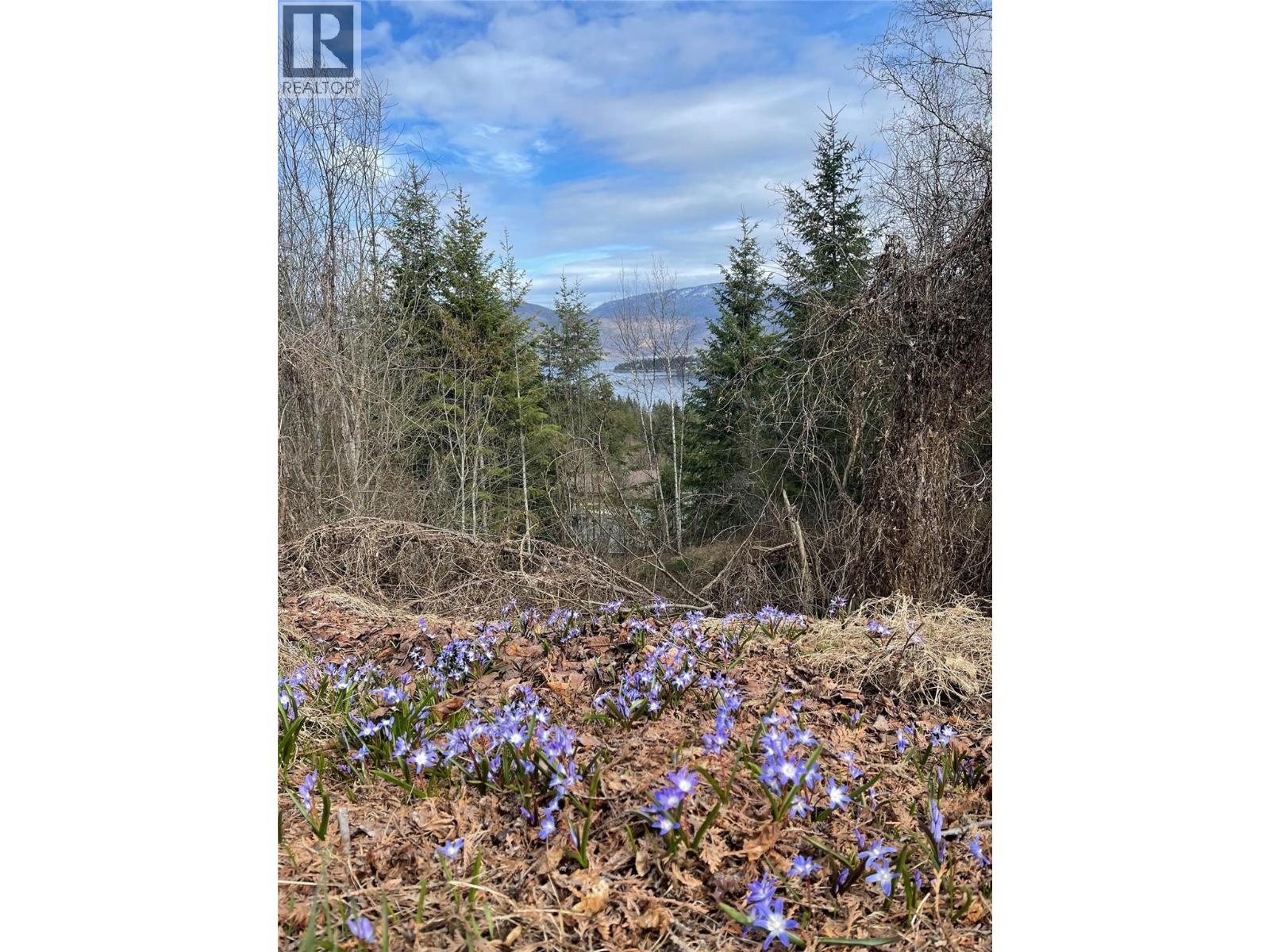 Photo 4 of Lot 31 Summit Drive, Blind Bay BC