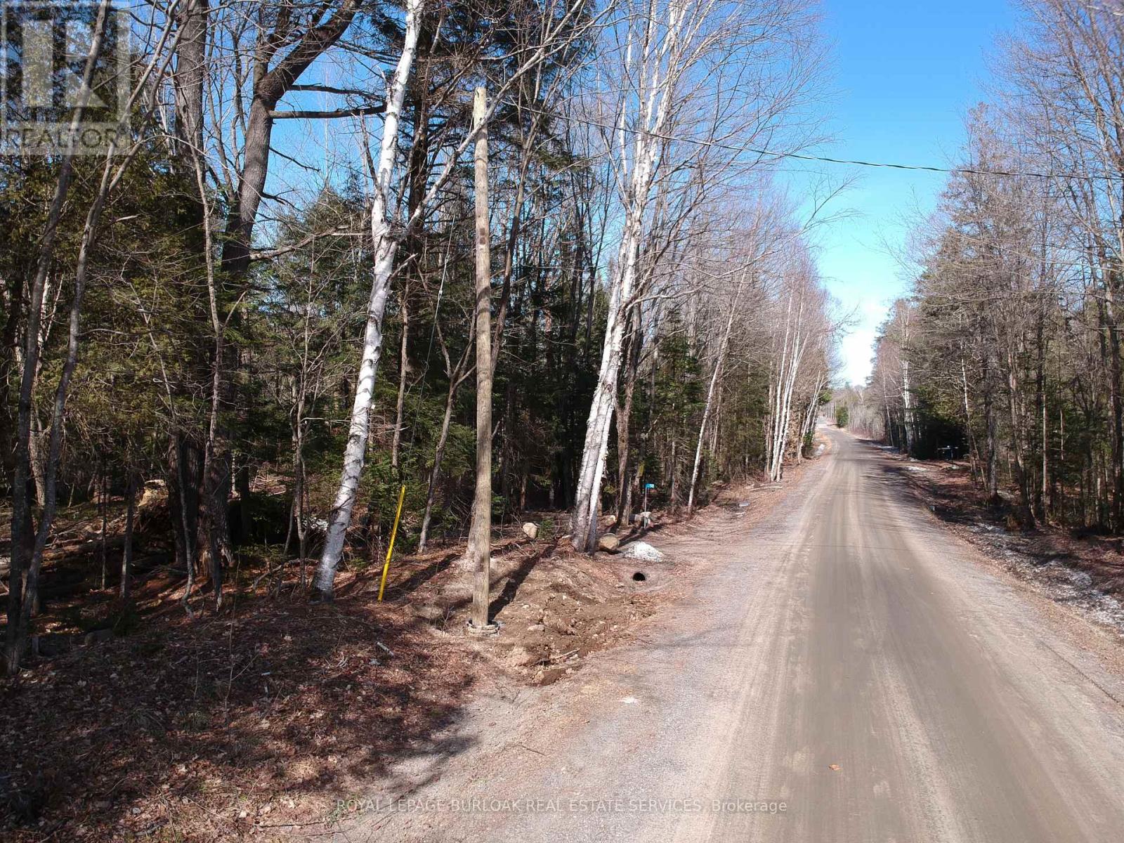 Photo 5 of 50 Concession 2 And 3 Road W, Huntsville ON