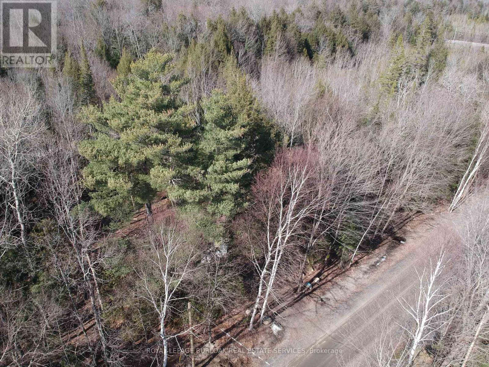 Photo 8 of 50 Concession 2 And 3 Road W, Huntsville ON