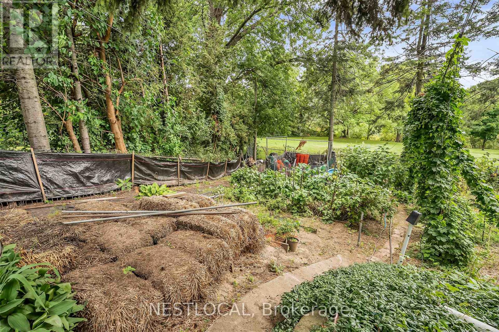 Photo 4 of 37 Enfield Avenue, Toronto ON