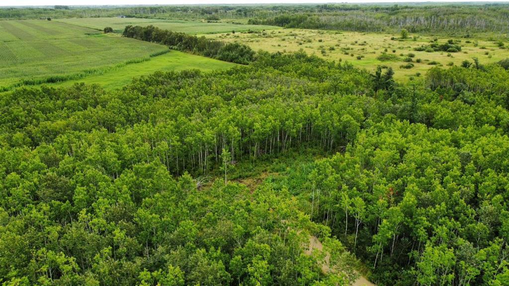 Photo 16 of 220 Matte Drive, Kleefeld MB