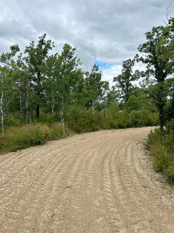 Photo 26 of 220 Matte Drive, Kleefeld MB