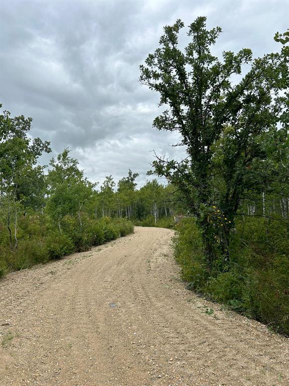 Photo 22 of 220 Matte Drive, Kleefeld MB