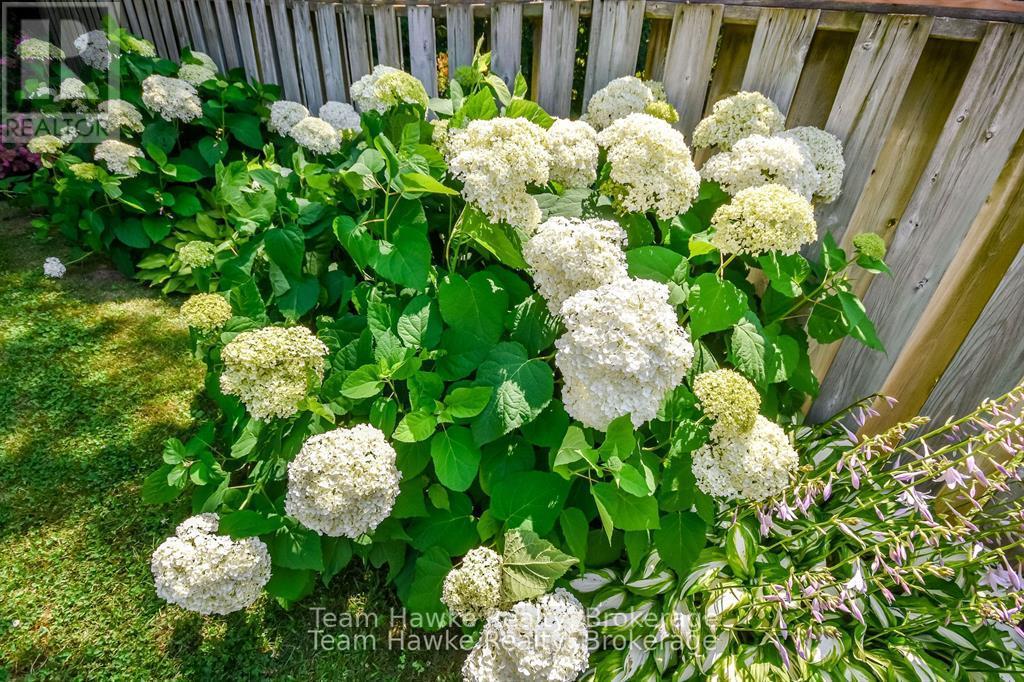 Photo 9 of 20 90 Burke Street, Penetanguishene ON
